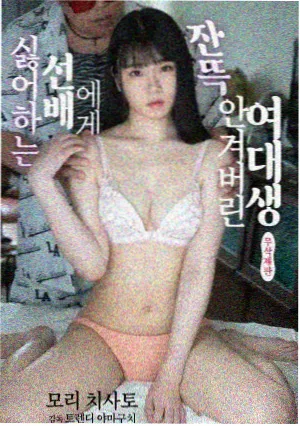 免费观看电视剧的影视软件 - 星河长明