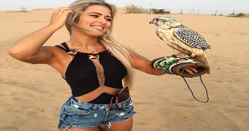 Desert-Falcon-Pic