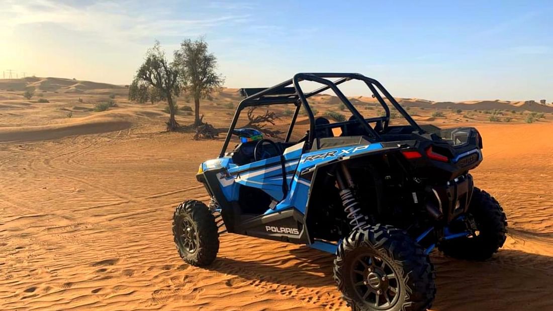 buggy-5